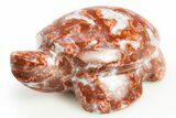 Polished Red Flower Marble Turtle - India #311883-1